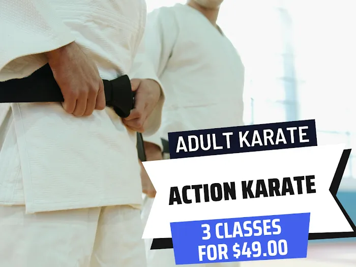 Action Karate Huntingdon Valley Picture 10