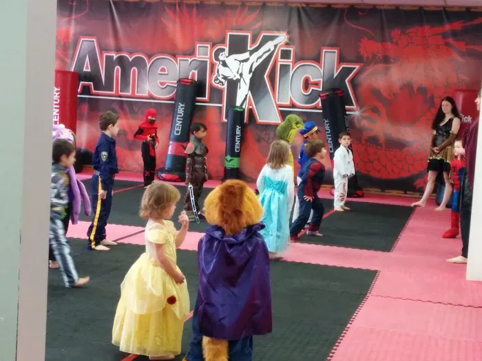 Amerikick Karate Marlton Picture 1