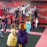 Amerikick Karate Marlton ico