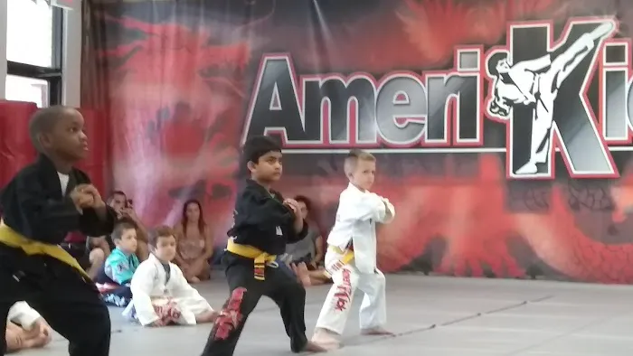 Amerikick Karate Marlton Picture 2