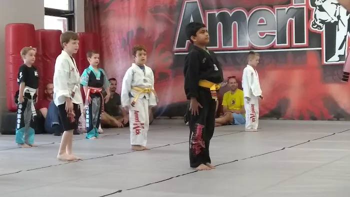 Amerikick Karate Marlton Picture 5