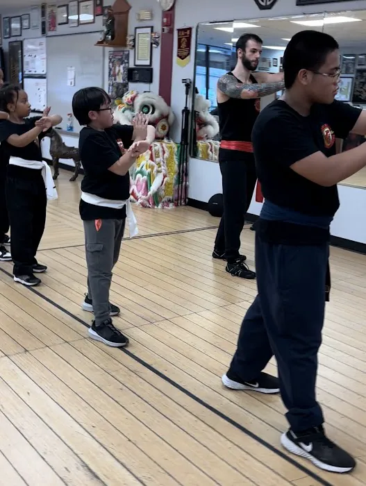 Traditional Wing Chun Kung Fu Academy Picture 3