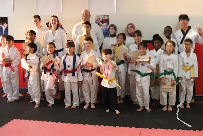 Taekwondo Academy Picture 1