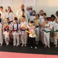 Taekwondo Academy ico
