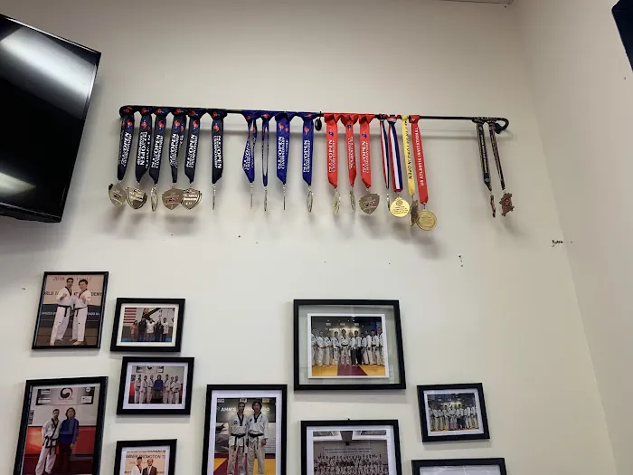 Taekwondo Academy Picture 6