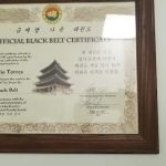 J Torres Taekwondo Academy