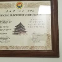 J Torres Taekwondo Academy ico