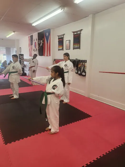 J Torres Taekwondo Academy Picture 5