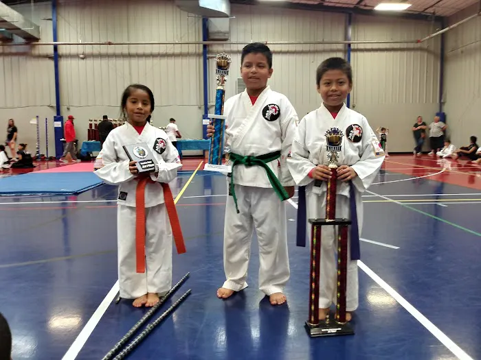 J Torres Taekwondo Academy Picture 8