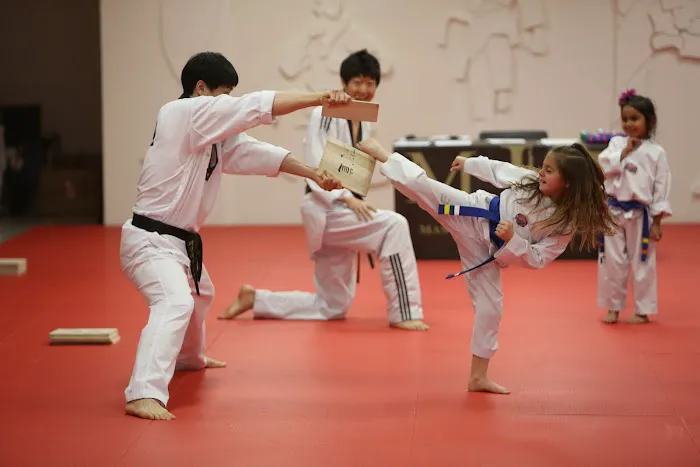 Master Ju’s World Class Tae Kwon Do Picture 7