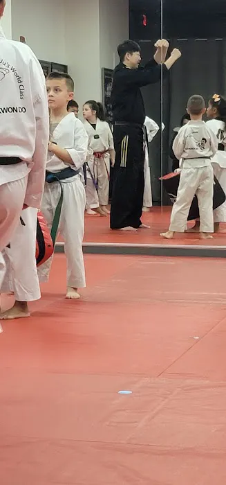 Master Ju’s World Class Tae Kwon Do Picture 9