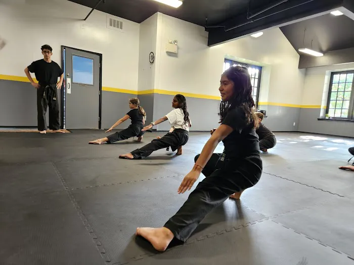 World Elite Martial Arts Picture 1