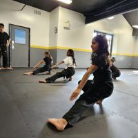 World Elite Martial Arts ico