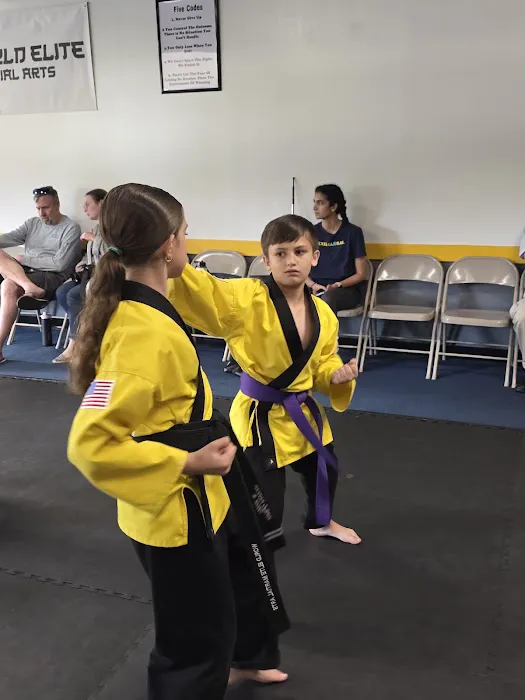 World Elite Martial Arts Picture 8