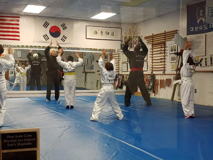 Han Kuk Gym Martial Arts School Picture 2
