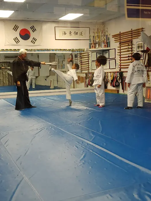 Han Kuk Gym Martial Arts School Picture 3
