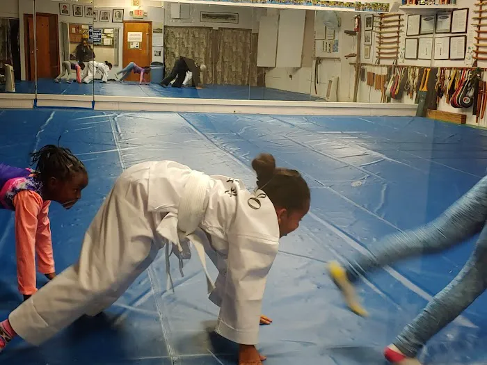 Han Kuk Gym Martial Arts School Picture 4