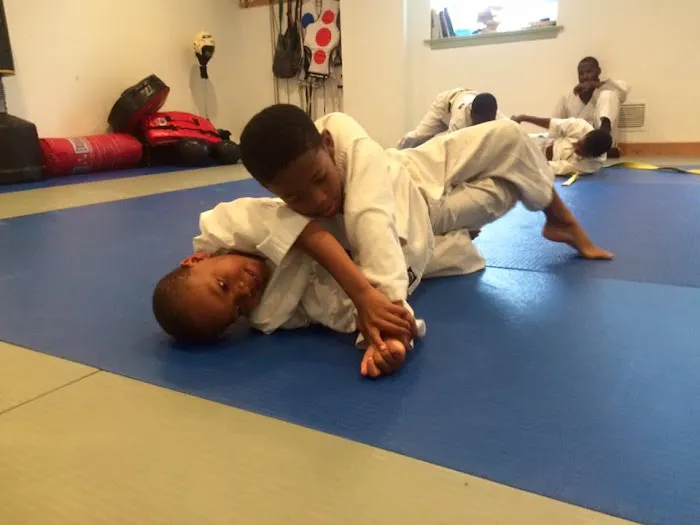 Zhang Sah Martial Arts and Learning Center Mt. Airy Picture 1