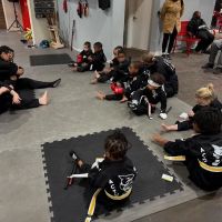 Action Karate Mt. Airy ico