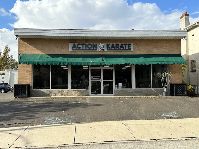 Action Karate Oreland Picture 8