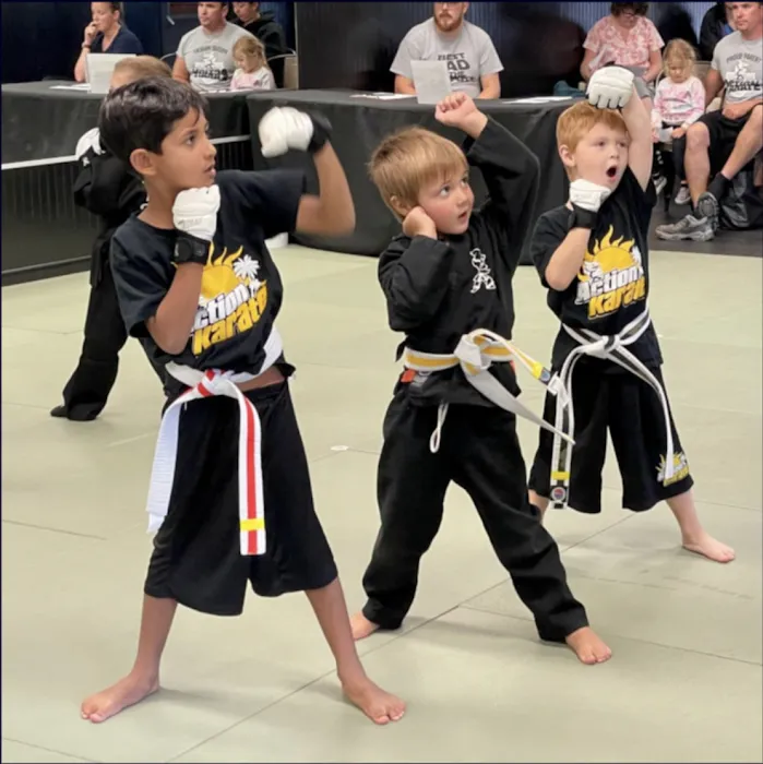 Action Karate Horsham Picture 7