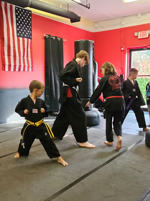 Red Dragon Martial Arts Academy Picture 1