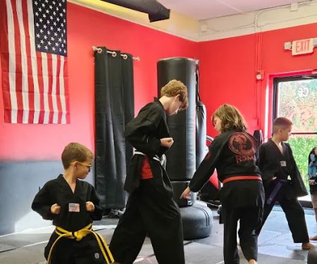Red Dragon Martial Arts Academy