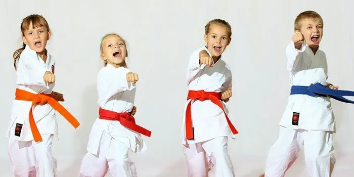 Business Name: Tetsujin Kai: Kickboxing, TKD & Kyokushin Karate Picture 3