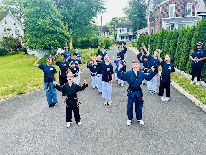 Tiger Kicks Martial Arts Taekwondo Picture 2