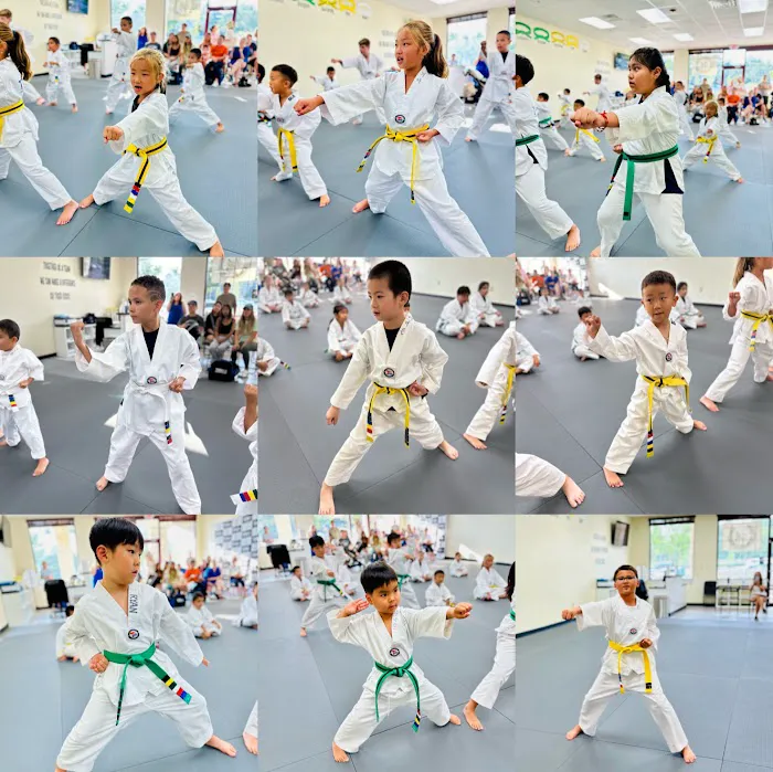 Tiger Kicks Martial Arts Taekwondo Picture 4
