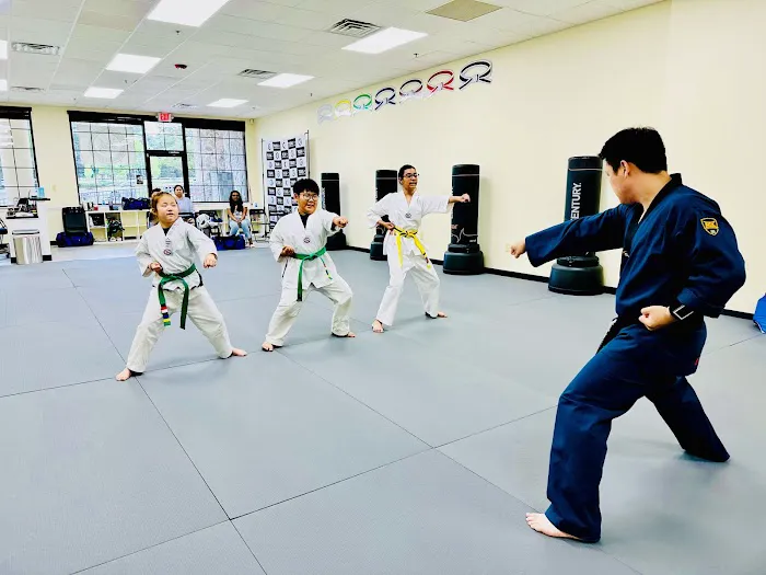 Tiger Kicks Martial Arts Taekwondo Picture 8