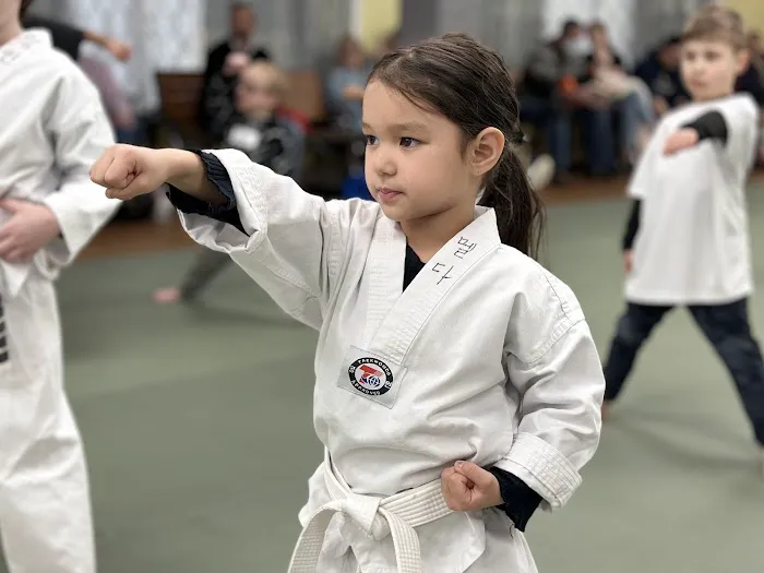 Tiger Kicks Martial Arts Taekwondo Picture 9