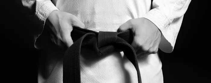 Master Taekwondo Picture 3