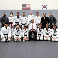 Master Taekwondo ico