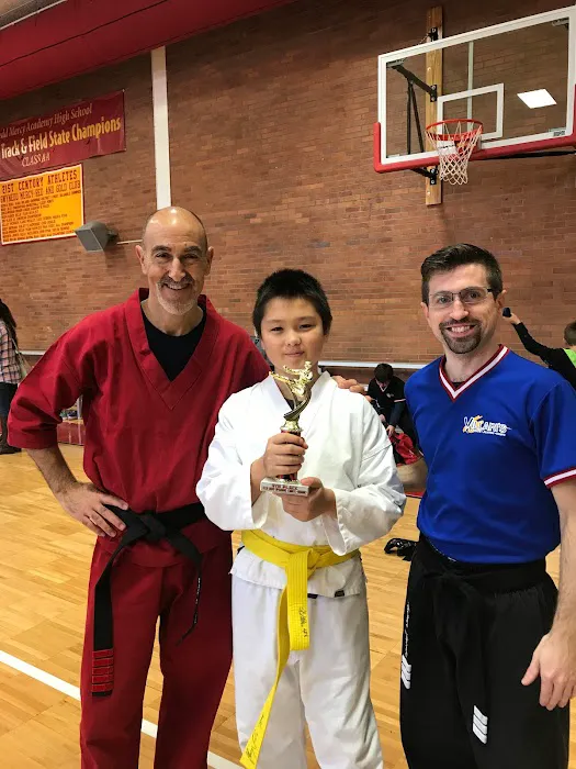 Villari's Martial Arts of Ambler Picture 2