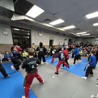 Action Karate Plymouth ico