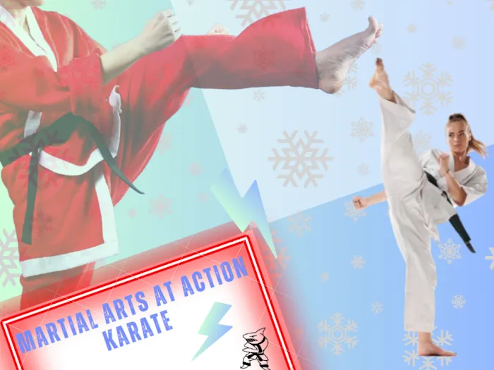 Action Karate Plymouth Picture 6