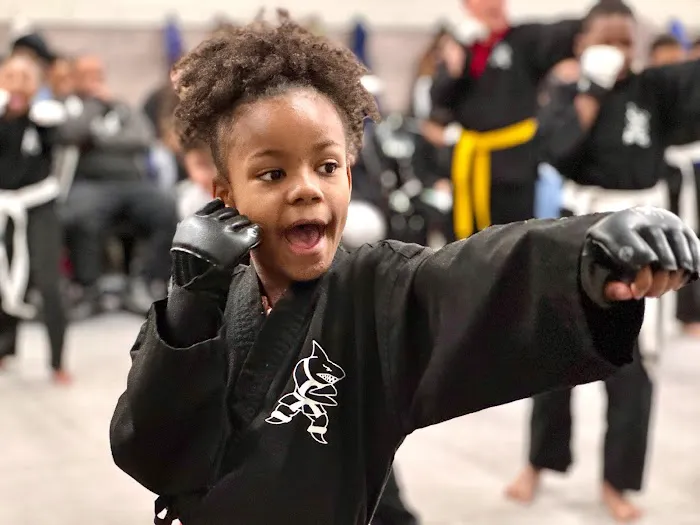 Action Karate Plymouth Picture 8