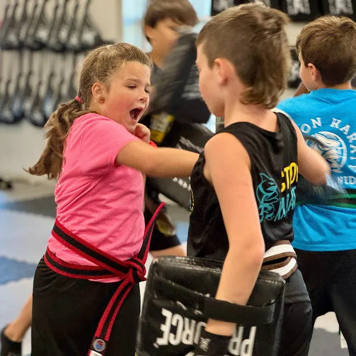 Action Karate Plymouth Picture 10