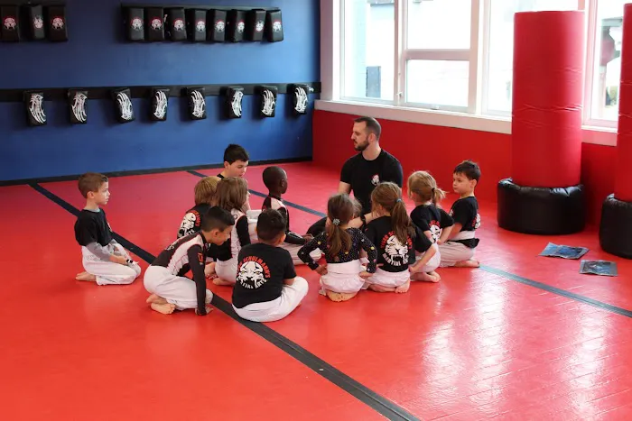 Tiger Schulmann's Martial Arts (Stamford, CT) Picture 1