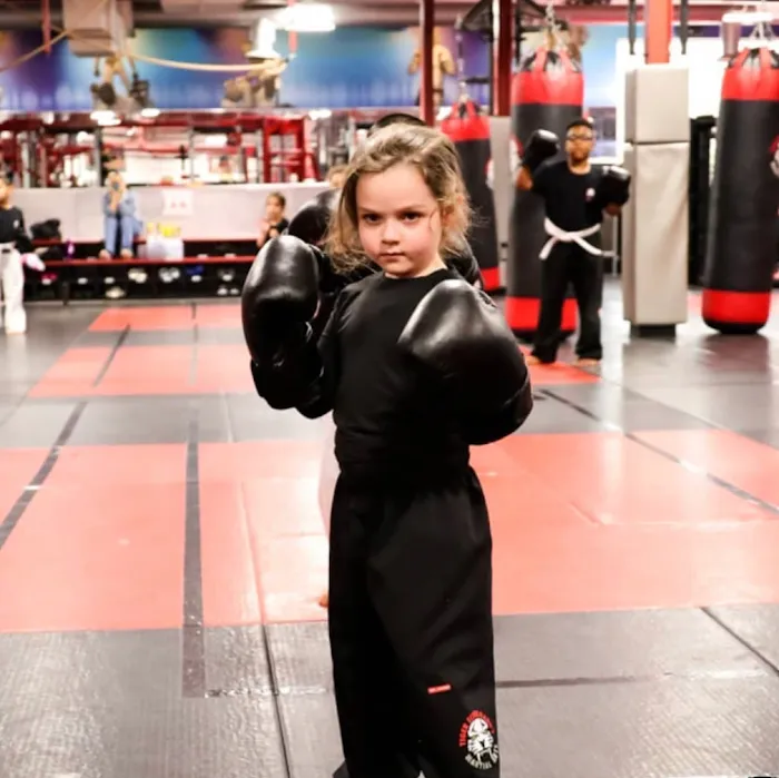Tiger Schulmann's Martial Arts (Stamford, CT) Picture 2