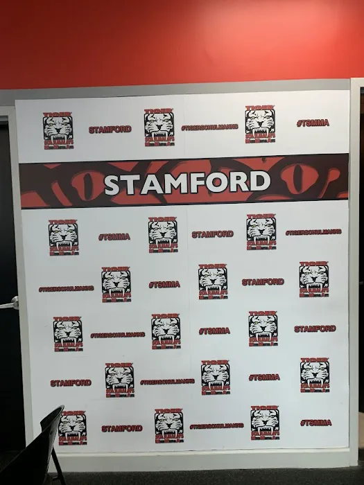Tiger Schulmann's Martial Arts (Stamford, CT) Picture 7