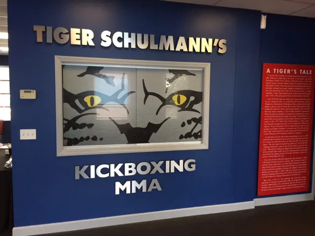 Tiger Schulmann's Martial Arts (Stamford, CT) Picture 8