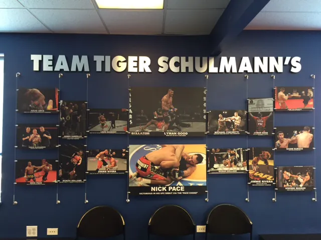 Tiger Schulmann's Martial Arts (Stamford, CT) Picture 9