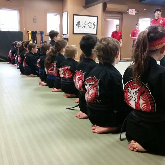 The Dojo Stamfords Karate School Picture 1