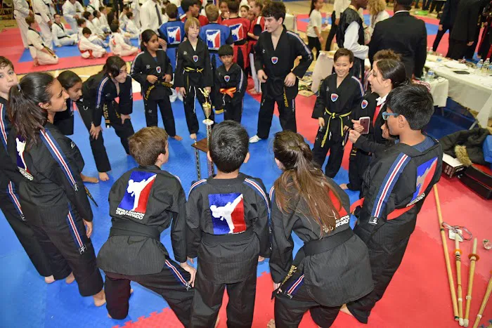 World Champion Tae Kwon Do Picture 10