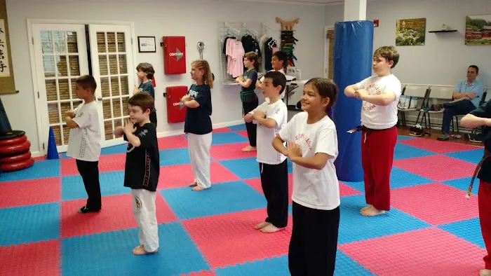 Institute for Martial Arts Picture 2