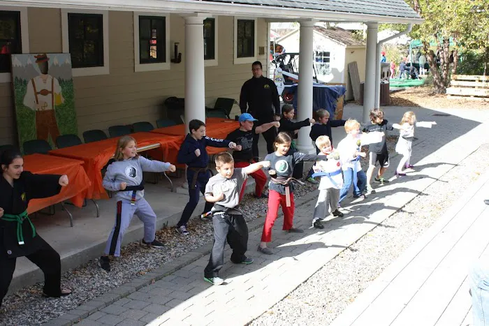 Institute for Martial Arts Picture 3
