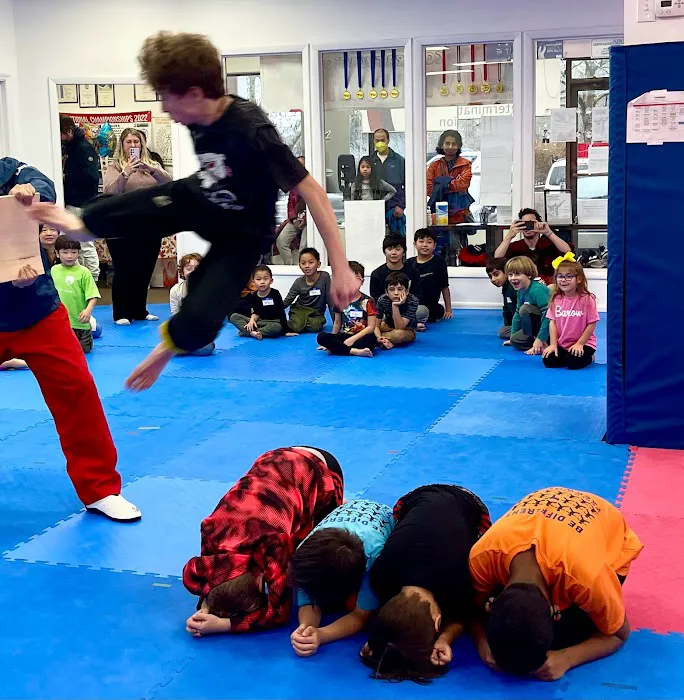 Jeong’s World Taekwondo Academy Picture 3