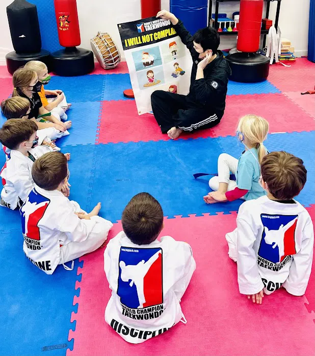 Jeong’s World Taekwondo Academy Picture 7
